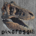 Dinofossil5's Avatar