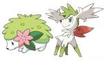 demon sky shaymin's Avatar